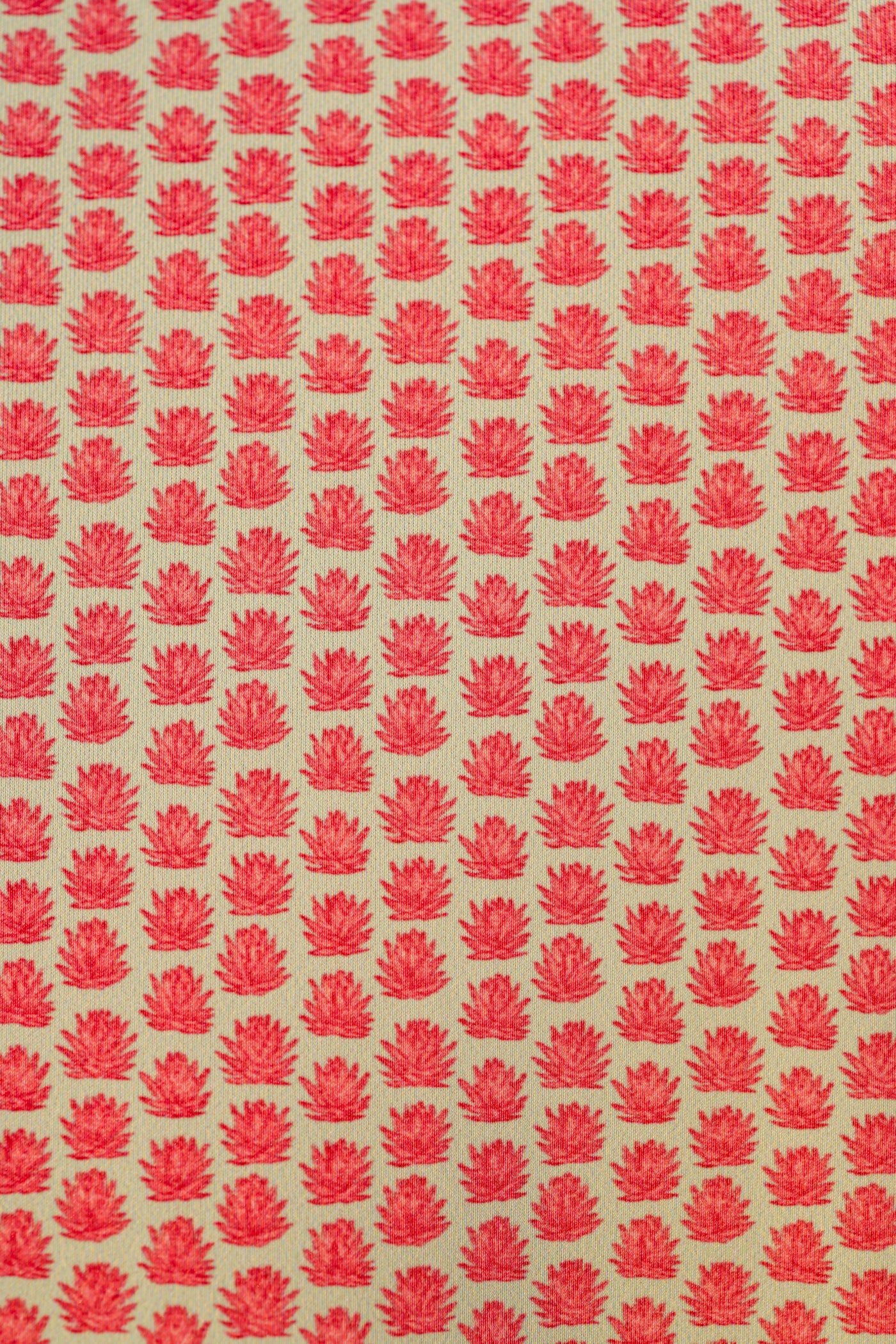 The Agave Polo