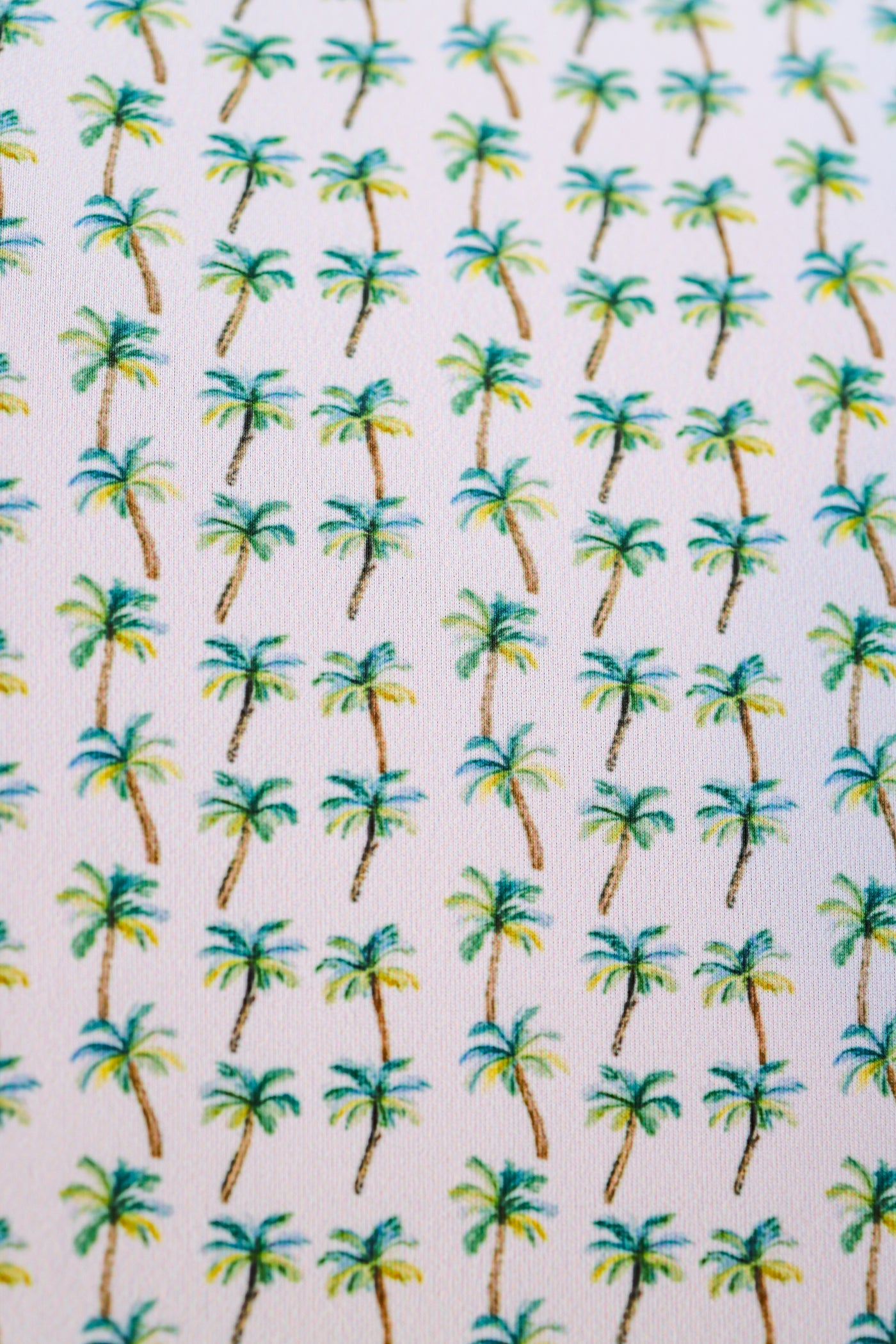 The Palm Polo