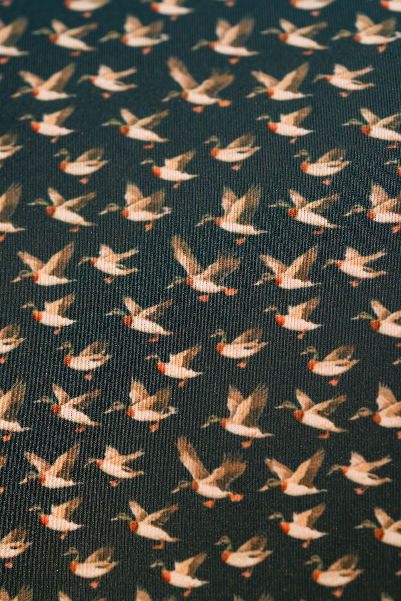 The Quack Polo